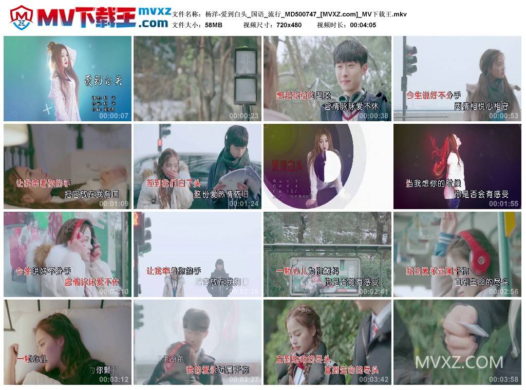 杨洋-爱到白头_国语_流行_MD500747